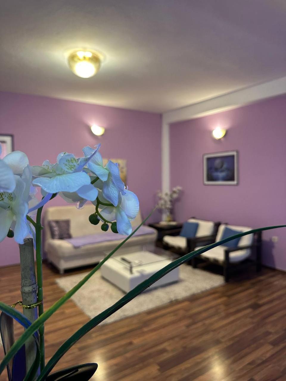 Riaho Apartment موستار المظهر الخارجي الصورة